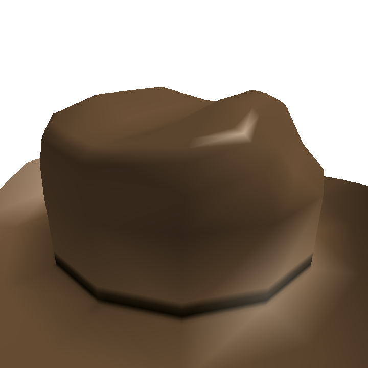 Brown Cowboy Hat
