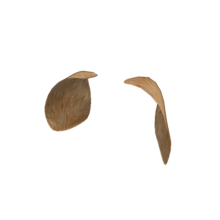 Dog Ears
