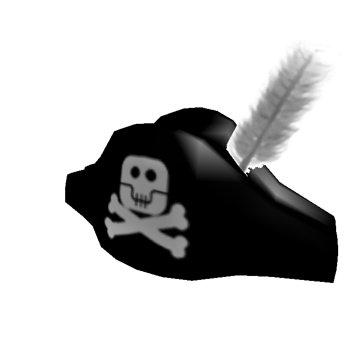 Pirate Captain's Hat