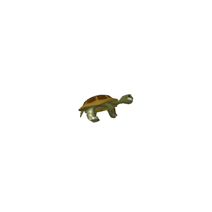 Leland the Lolturtle