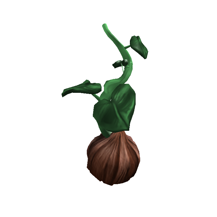 Seedling
